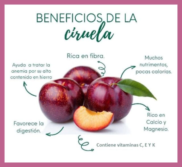 La Ciruela Nutritiva UNAH ALDIA