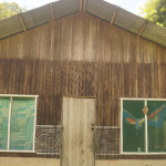 CEREMONIA DE AYAHUASCA EN LA COMUNIDAD SHIPIBO-KONIBO DE SAN FRANCISCO-PUCALLPA