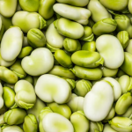 El haba, un alimento esencial para el metabolismo